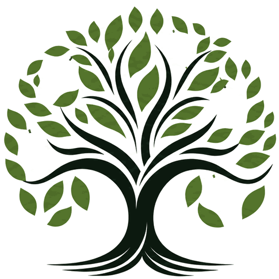 Olive tree