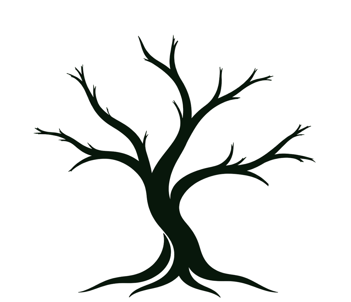 A tree growing from its roots into a full, healthy crown